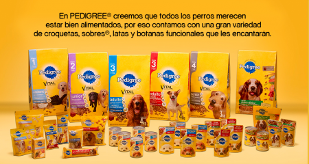 la comida 